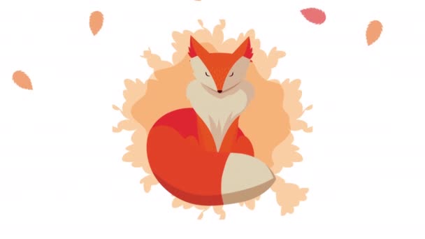 Hola animación de otoño con el patrón de zorro salvaje y hojas — Vídeo de stock