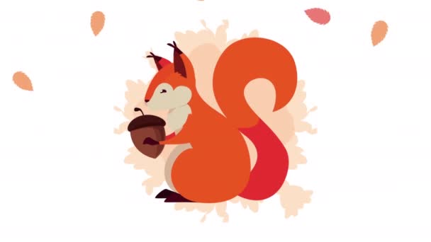 Hello autumn animation with squirrel and nut leafs pattern — Stock Video