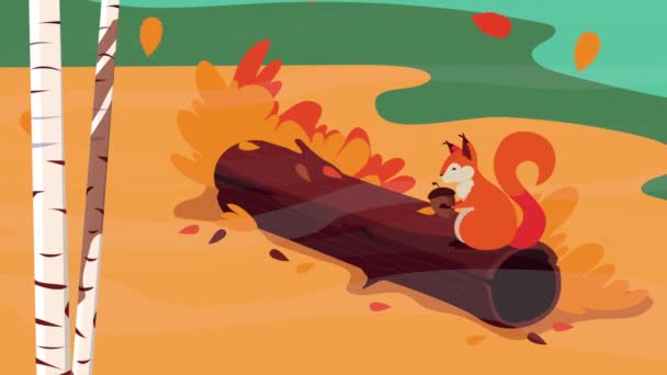 Hello autumn animation with squirrel and nut in tree trunk forest scene — Stock Video