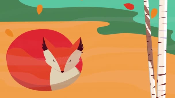 Hello autumn animation with wild fox in forest scene — Stock Video