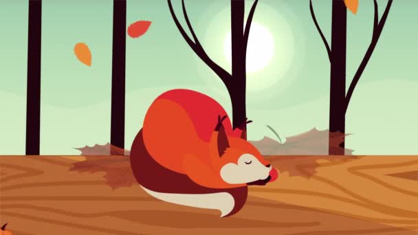 你好秋天的动画与狐狸和南瓜森林的场景 — 图库视频影像