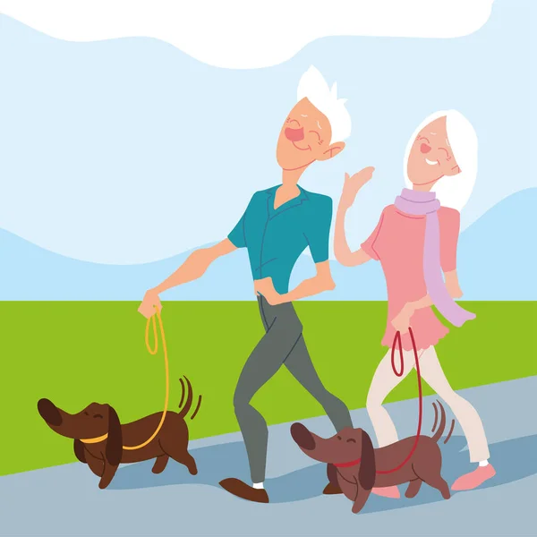 Elderly couple walk their dogs in the park, active seniors — Stock Vector