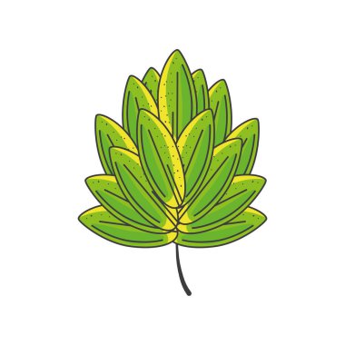 beyaz arkaplanda yaprak sektirir