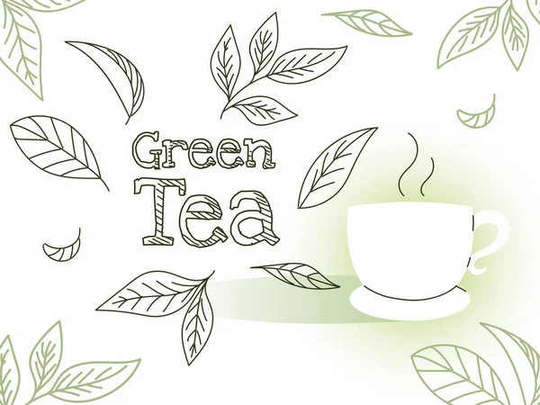 Tè verde con tazza e foglie disegno vettoriale — Vettoriale Stock