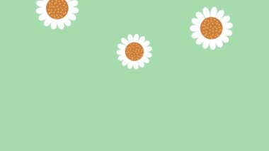 Çiçek desenli bahçe animasyonu