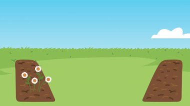 Balkabağı ve çitle bahçe animasyonu