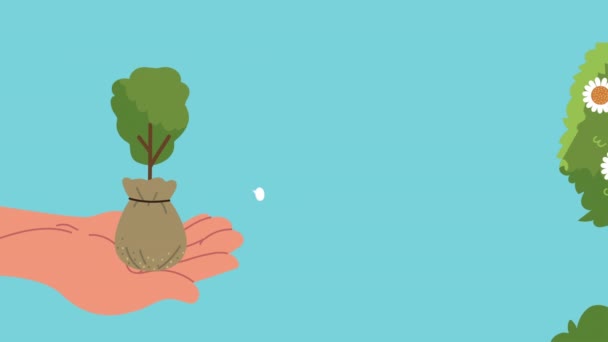 Tuinieren animatie met boom en hand tillen plant — Stockvideo