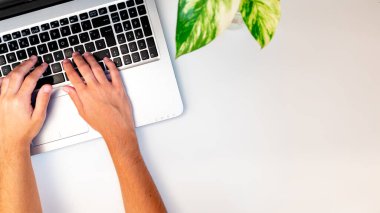 Bir şirketin profesyonel muhasebecisi, dizüstü bilgisayarda idari işler. Kopyalama alanı olan düz