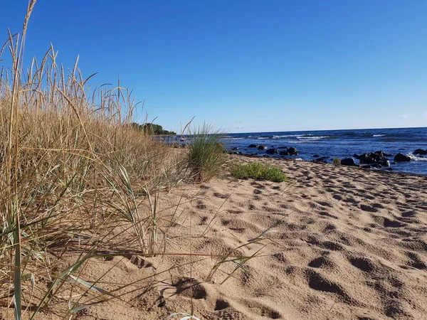 Sveç Kıyısında Güzel Baltık Denizi — Stok fotoğraf