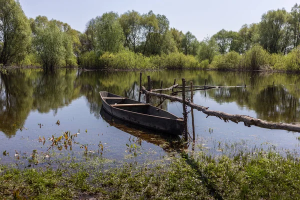Barco de madera en lugares de aldea en los bosques de llanura de inundación del río Desna, Ucrania — Foto de Stock