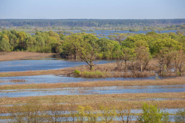 Valley and meanders of Desna river. Overflooded flood plain forest in spring, Ukraine.