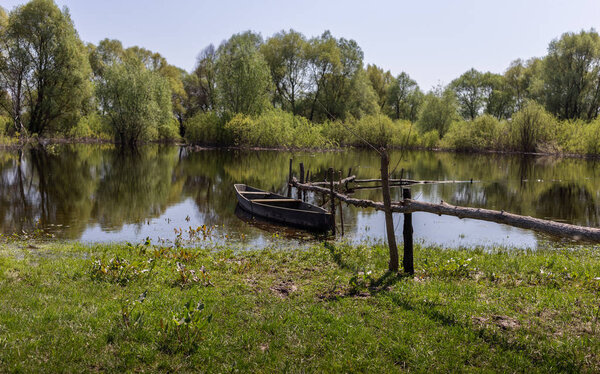 Wooden boat at village places in the floodplain forests of the Desna river, Ukraine. Landscape view