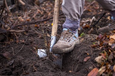 Adam yapmak zor iş metal kürekle toprak kazma