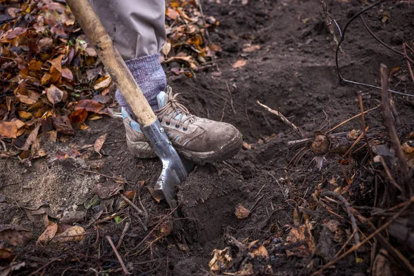 Pala en el suelo, primer plano. Espadeado en el suelo — Foto de Stock