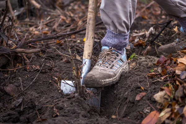 El hombre hace un trabajo duro cavando tierra con pala de metal — Foto de Stock