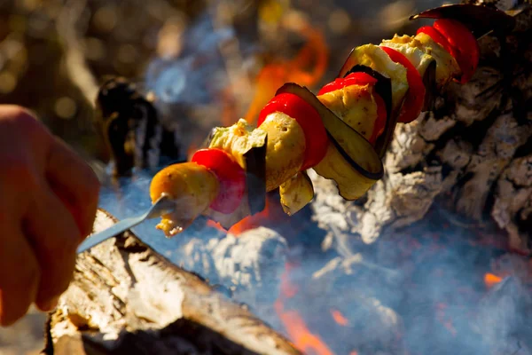 Gegrilltes Gemüse Kebab Offenen Feuer Auf Dem Stock — Stockfoto