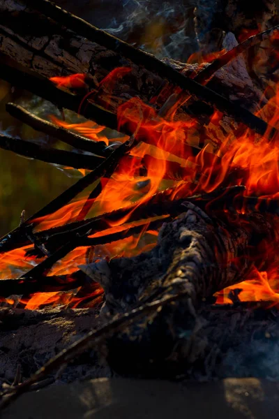 Close up of camp fire flames and fire