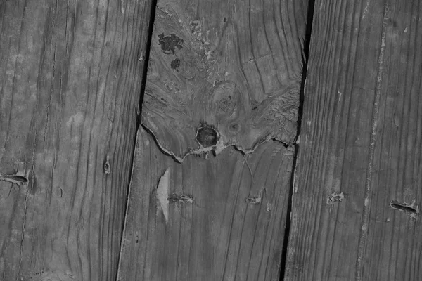 Grain wood structure. Wood texture with turqose. Black and white