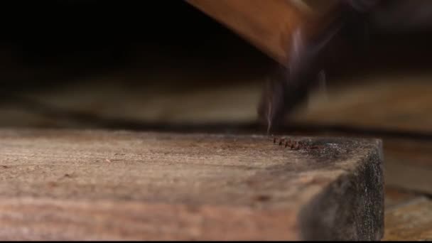 Nagel aus rostfreiem Stahl mit Hammerschlägen aus der Nähe von Holzbrettern entfernen. Selbstschneidende Schraube wegen unsachgemäßer Verwendung reduziert — Stockvideo