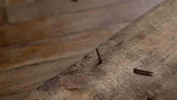 Αφαίρεση ανοξείδωτου καρφώματος από ξύλινη σανίδα με σφυρί. Κλείσε, Μάκρο. Αυτο χτυπώντας βίδα μειώνει λόγω ανάρμοστης χρήσης — Αρχείο Βίντεο