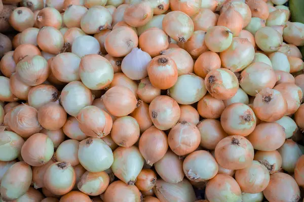 Fundo de cebola dourada. Comida local orgânica vegetariana. — Fotografia de Stock