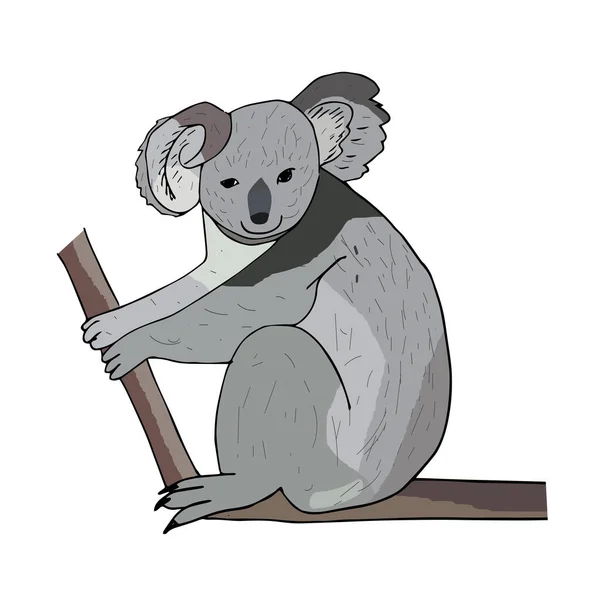 Koala op een boomtak. Australisch dier. Cartoon — Stockvector