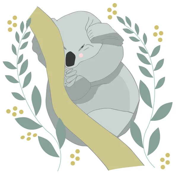 Koala paresseux dormir sur une branche dessin animé, illustration vectorielle — Image vectorielle