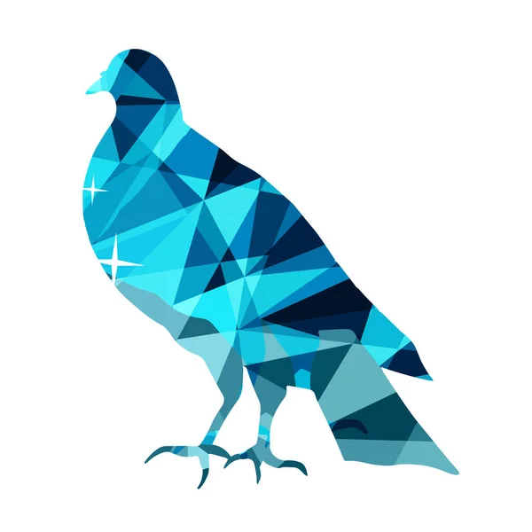 Renkli gri güvercin beyaz bir arka planda ayakta duruyor.