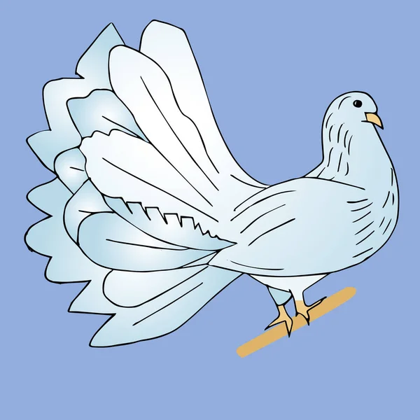 Голубий птах. Барвистий голуб. Плоска векторна ілюстрація ізольована на білому тлі — стоковий вектор