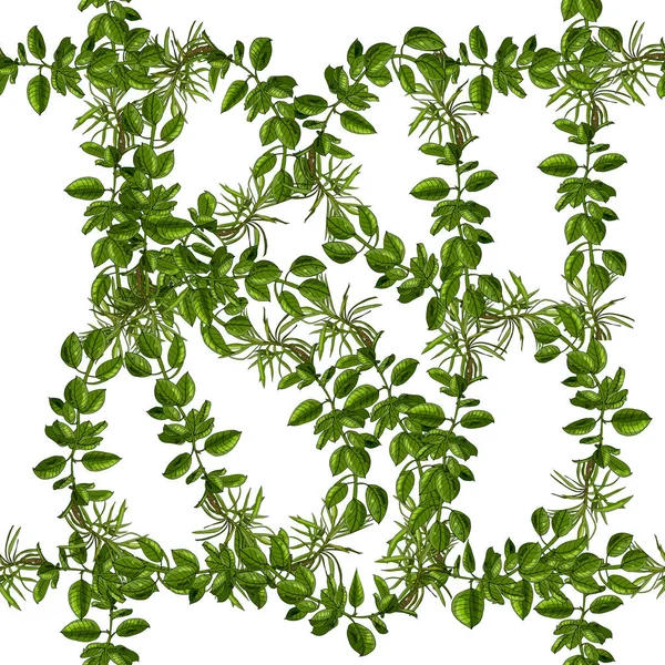 Yeşil yapraklı, uzun dallı kusursuz vektör deseni. Yüzey yazdırma tasarımı