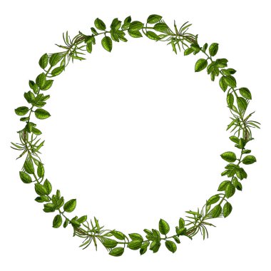 Beyaz arkaplanda izole edilmiş ev bitkileri çemberi