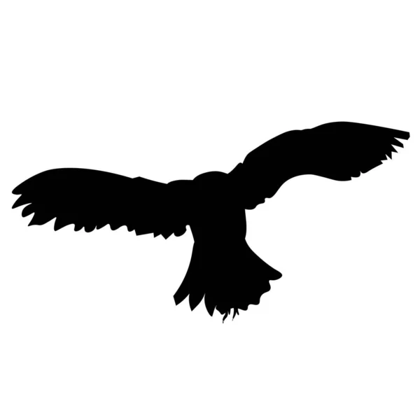 Літаюча сова. Чорний силует на білому тлі — стоковий вектор