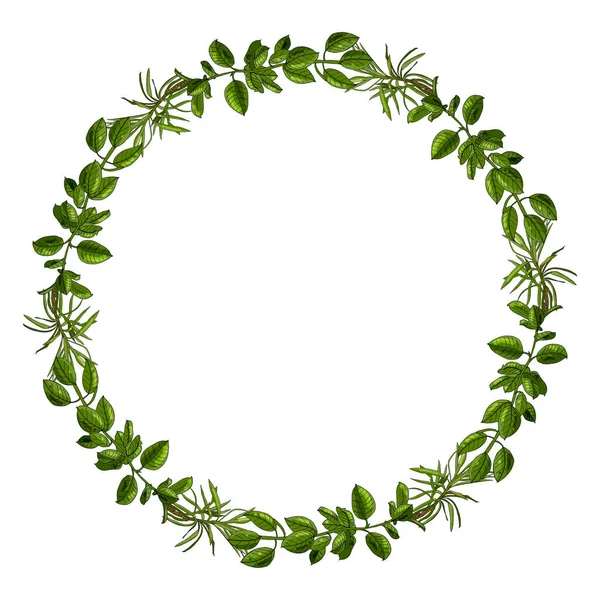 Beyaz arkaplanda izole edilmiş ev bitkileri çemberi