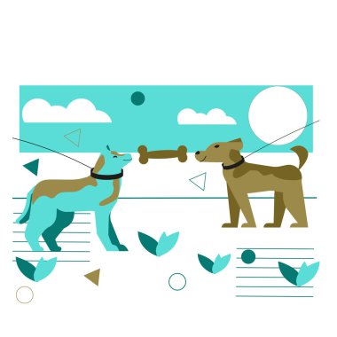 Kemik mavisi kahverengilerin arasında tasmalı iki köpek.
