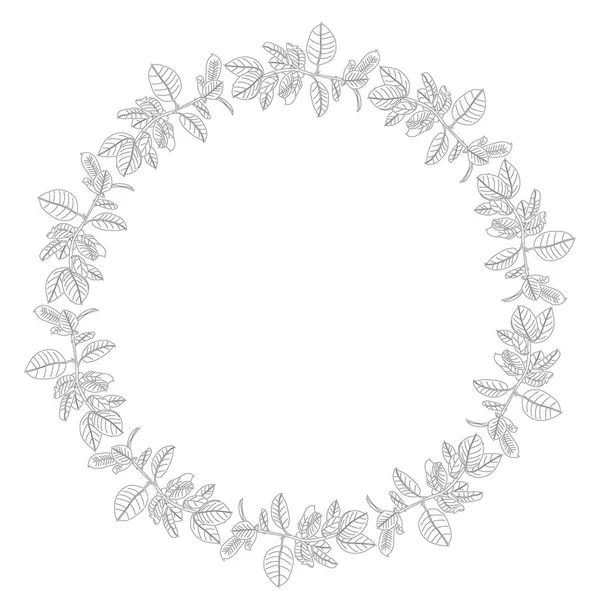 Beyaz arka planda izole edilmiş siyah ve beyaz ev bitkileri çemberi