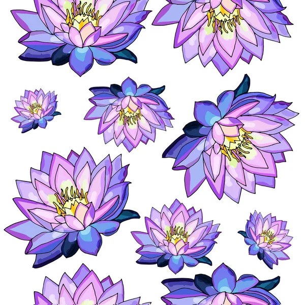 Lotus naadloze patroon bloem. Zachte en pastelkleur. blauw roze lotus op witte achtergrond. — Stockvector