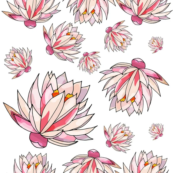 Nilüfer desensiz çiçek. Yumuşak ve pastel renkli. Beyaz arka planda mercan lotusu. 