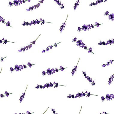 Elle çizilmiş lavanta filizi ile vektör kusursuz desen. Güzel çiçek tasarımı elementleri parmak izi ve desenler için mükemmel.