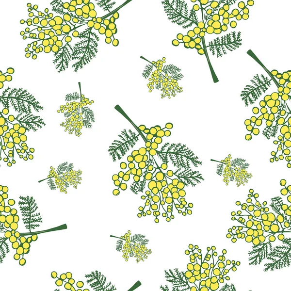 Απρόσκοπτη μοτίβο με την άνοιξη λεπτή λουλούδια - κίτρινο μιμόζα σε λευκό φόντο — Διανυσματικό Αρχείο