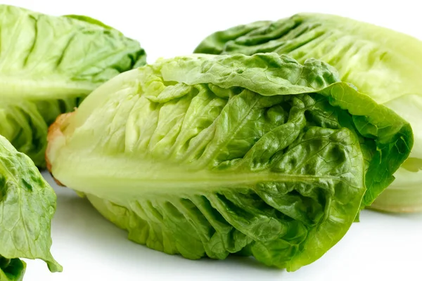 Group of Gem lettuces on white background. — Stock Photo, Image