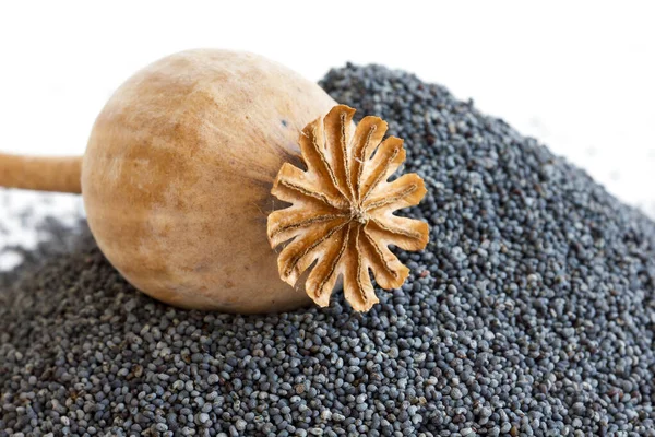 Detalhe da vagem de semente de papoula seca descansando sobre montão de sementes . — Fotografia de Stock