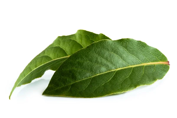 Two bay leaves isolated on white. — Stock Photo, Image