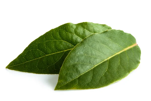 Two bay leaves isolated on white. — Stock Photo, Image