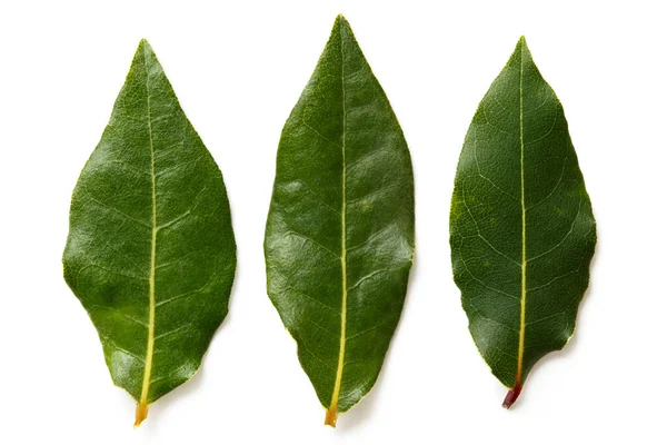 Three bay leaves isolated on white from above. — Stock Photo, Image