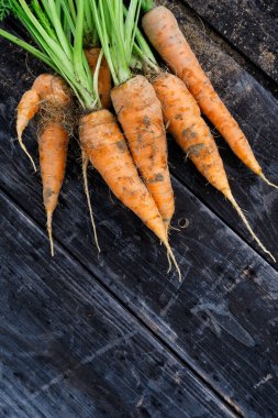 Yukardan toplanmış taze havuç ve siyah odun parçaları.