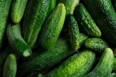 Yukarıdan yeni toplanmış salatalık turşusunun arka planı.