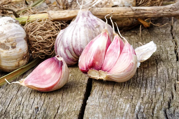 Whole garlic with broken bulb and pink cloves on rustic wooden b — Stock Photo, Image