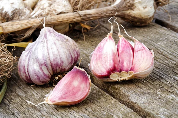 Whole garlic with broken bulb and pink cloves on rustic wooden b — Stock Photo, Image