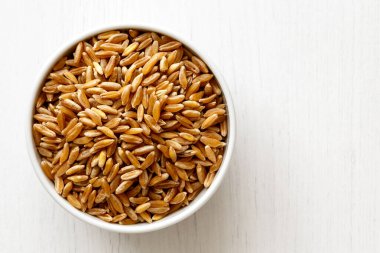 Kamut buğday çekirdekleri