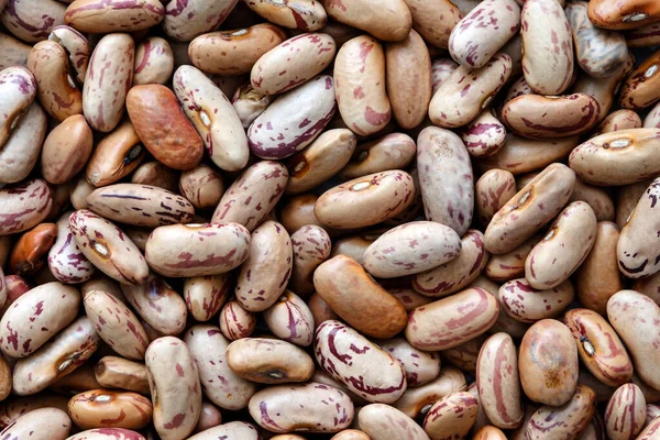 Background of dry pinto beans.